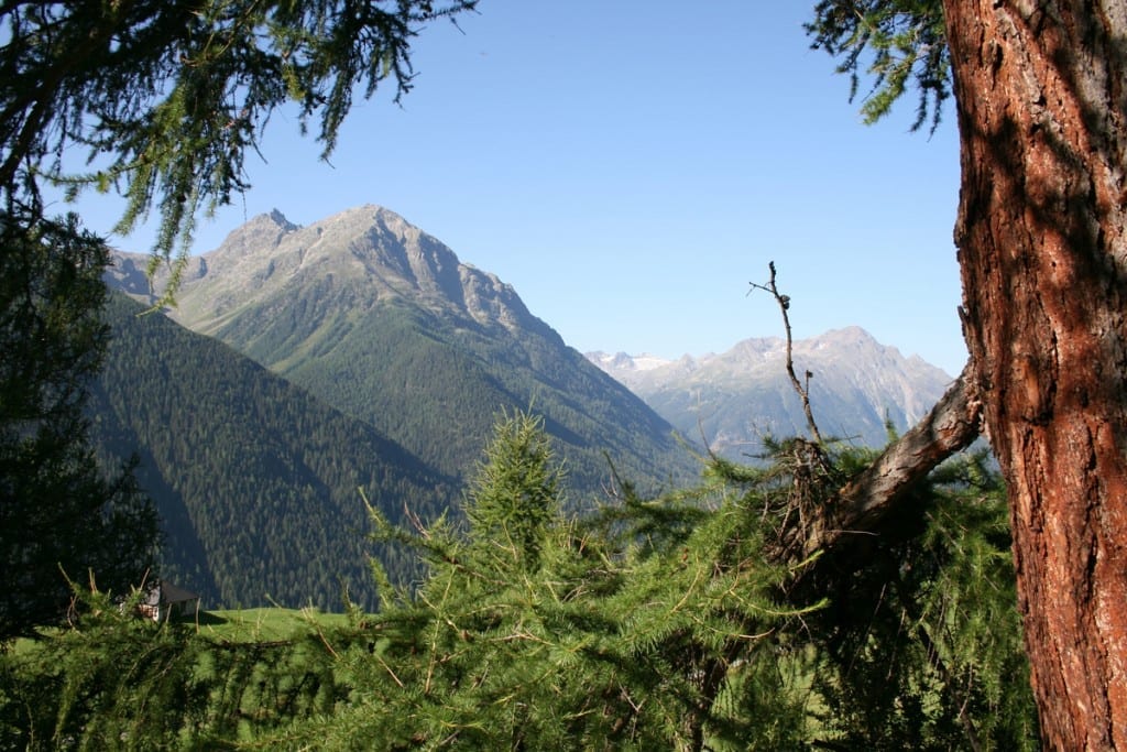 Die Via Engiadina- Weitwanderweg durch das Unterengadin besticht durch Natur, Historie und Architektur. Beginn der Wanderung ist die Dorfführung durch Guarda - das mit dem Henri-Louis-Wakker-Preis ausgezeichnetem Dorf und eines der besterhaltenen Engadiner Dörfer. Es wrude vom Schweizerischen Heimatschutz unter die Ortsbilder von nationaler Bedeutung eingereiht. Es besteht fast ausschließlich aus typischen Engadinerhäusern mit vielseitigen gut erhaltenen oder restaurierten Sgrafitto. Bekannt geworden ist das Dorf, dem die Lage den Namen gegeben hat, durch das Kinderbuch "Schellenursi" von Selina Chönz und Alois Carigiet. Die Tour führt über Alp Suot-Marangun-Alp Sura- Alp Murtera Dadourd bis nach Ardez. Bild: Blick auf das Naturschutzgebiet der Schweizer Berge.