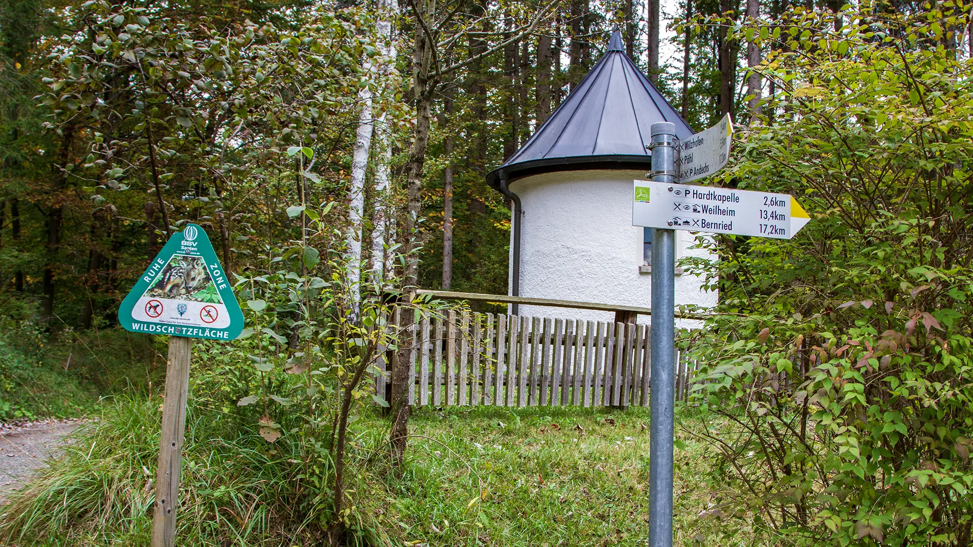 Waldwanderungen im Sommer – Abkühlung im Fünfseenland