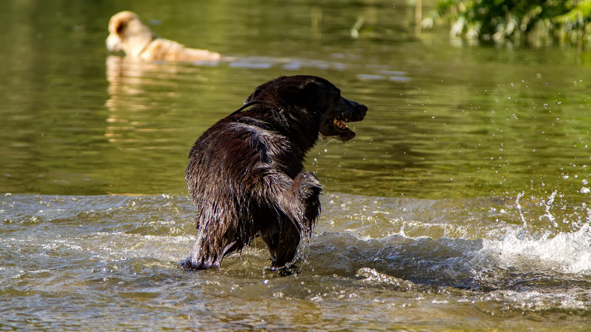 neue Baderegeln in Ambach
