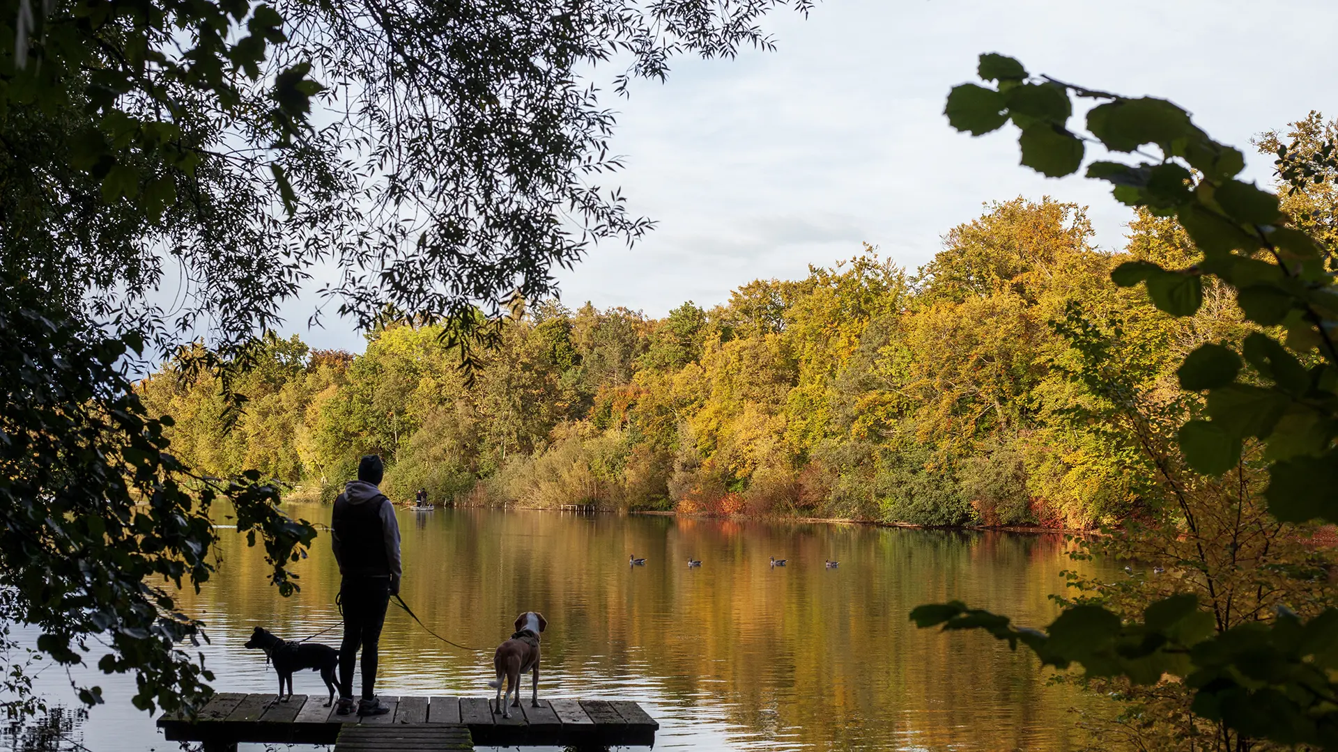 Wesslinger See