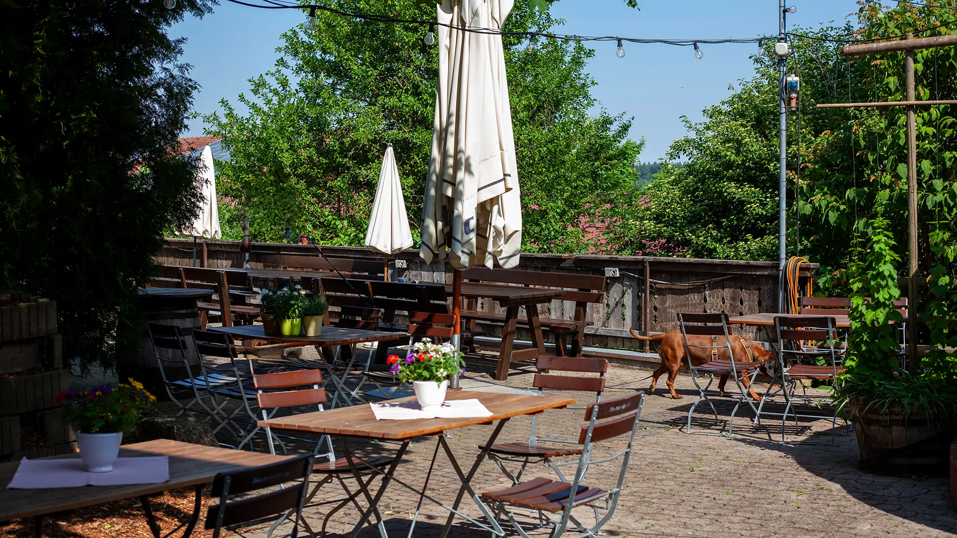 Blick in den Biergarten landgasthof Hipp mit schattigen Holzgarnituren, Sonnenschirm und vielen Pflanzen