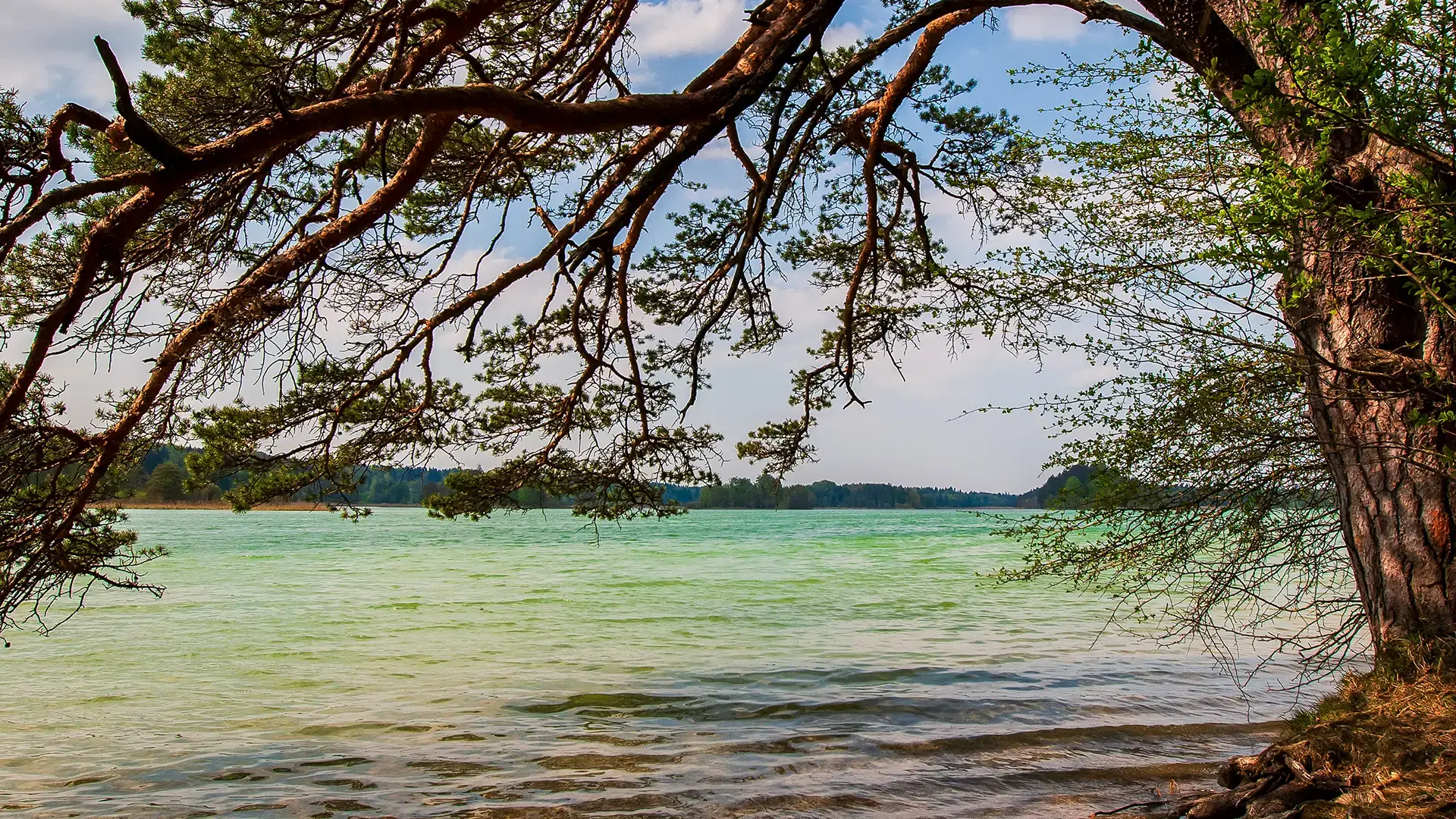 Eine Wanderung rund um die Osterseen führt in wunderschöne idyllische Naturplätze und lädt zum entschleunigen ein.
