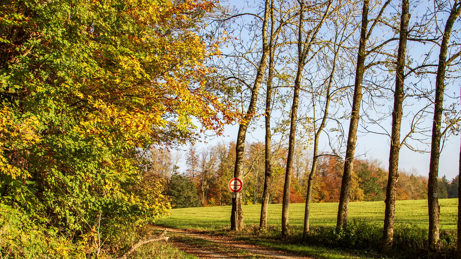 Wo einst der legendäre Segler Manfred Curry lebte und die Ex-Kaiserin Zita von Österreich zu Gast war, liegt Riederau zwischen Seeufer und Hochwald – aus vier Bauernhöfen wurde ein beliebtes Ziel für Naturliebhaber. Beste Reisezeit: ganzjährig
