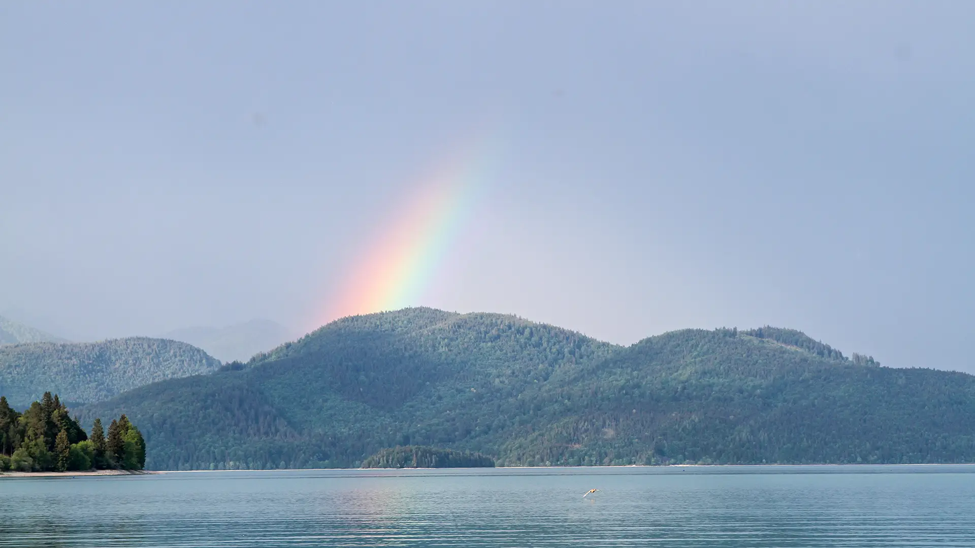 Regenbogen über dem Walchensee im Hintergrund die Berge.