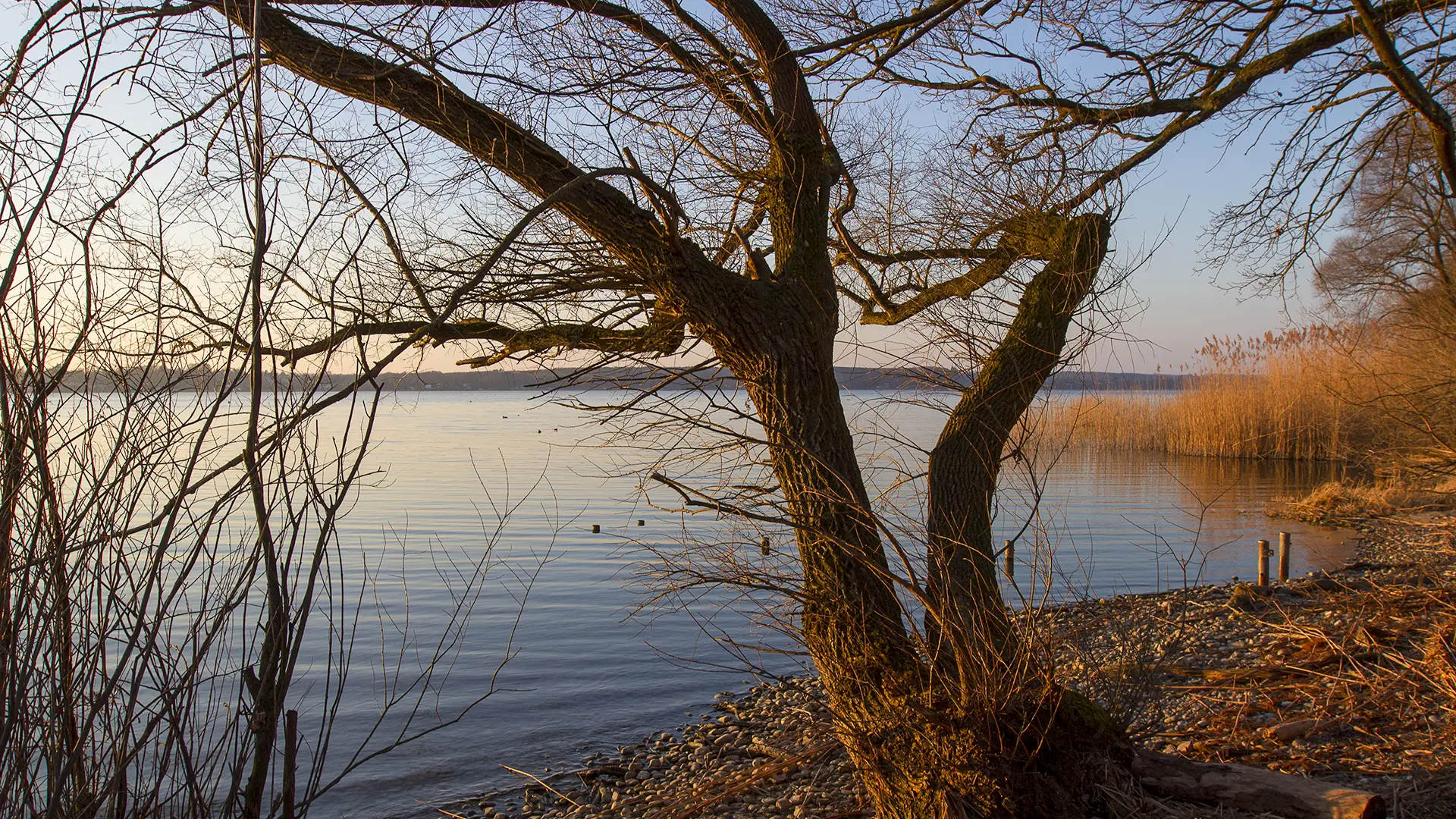 fuenfeen-buch-ammersee-abendtimmung-bmwidmann buch am ammersee - herbstliche abendstimmung am seeufer