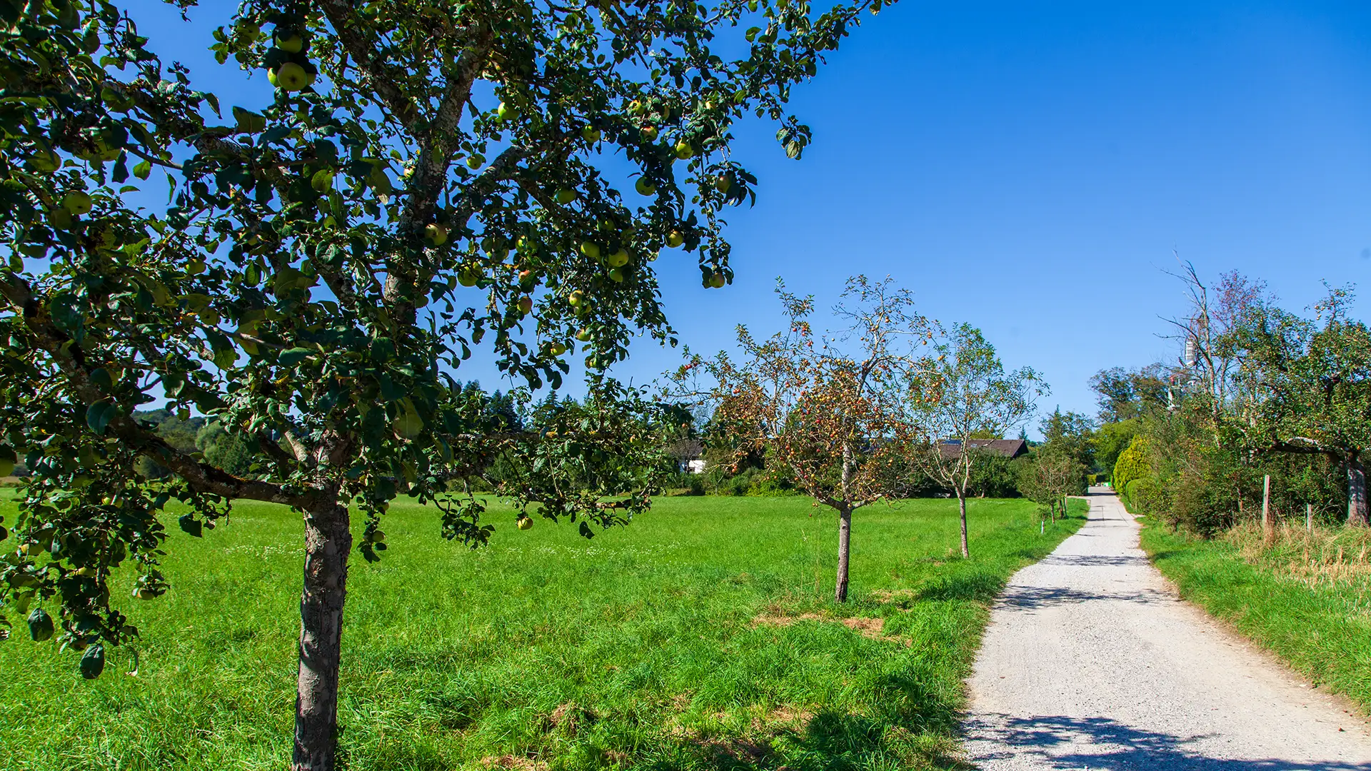 Wandern rund um Leutstetten – durchs Moos und über Kraftplätze