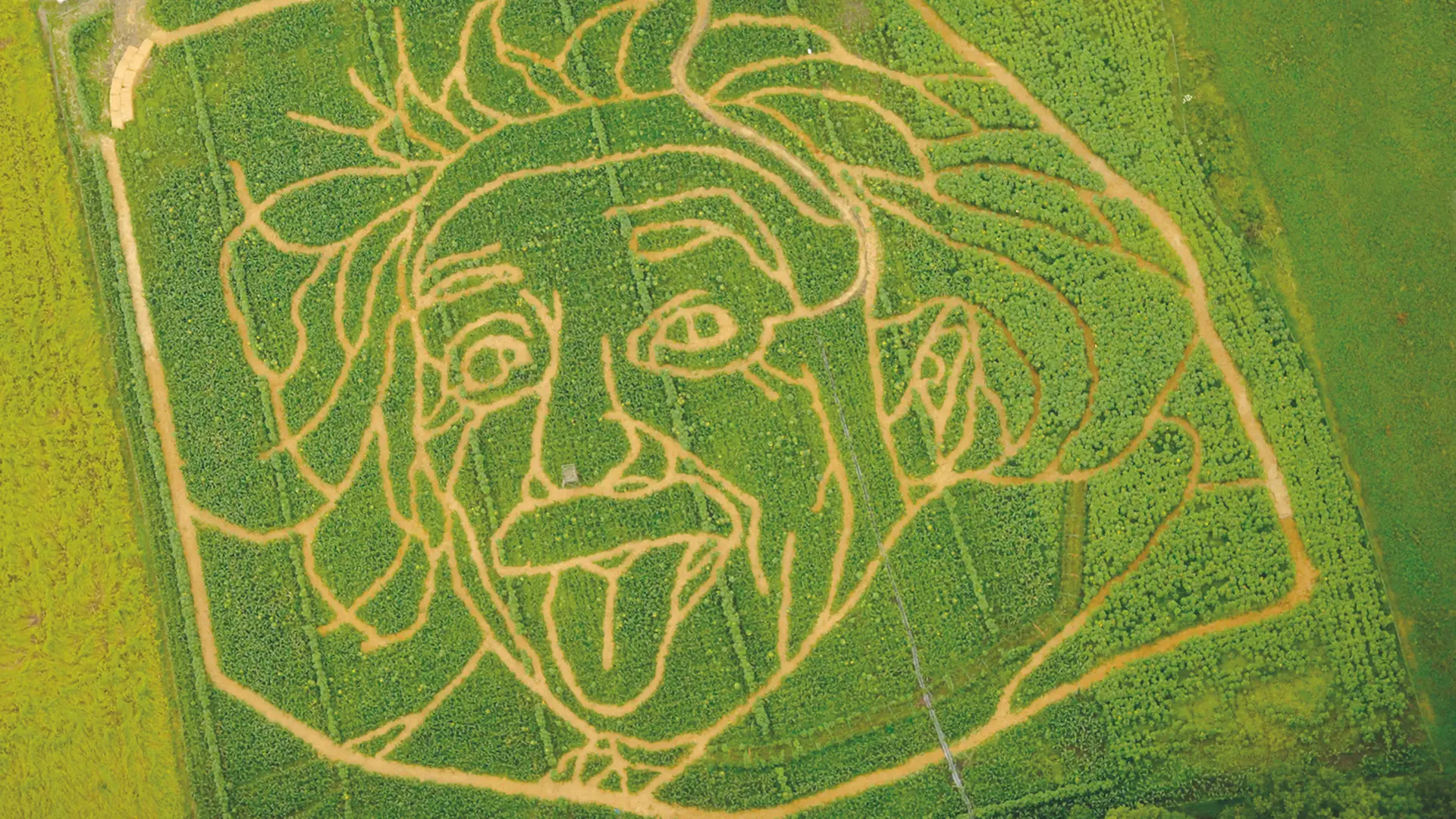 Wo die Natur zum Kunstwerk wird und die ganze Familie einen Tag Spaß haben kann: Seit fast 30 Jahren gestalten Corinne & Uli Ernst am Ufer des Ammersees mit über 30.000 Pflanzen jedes Jahr ein neues Labyrinth-Motiv. Beste Reisezeit: Ende Juli bis Ende September.