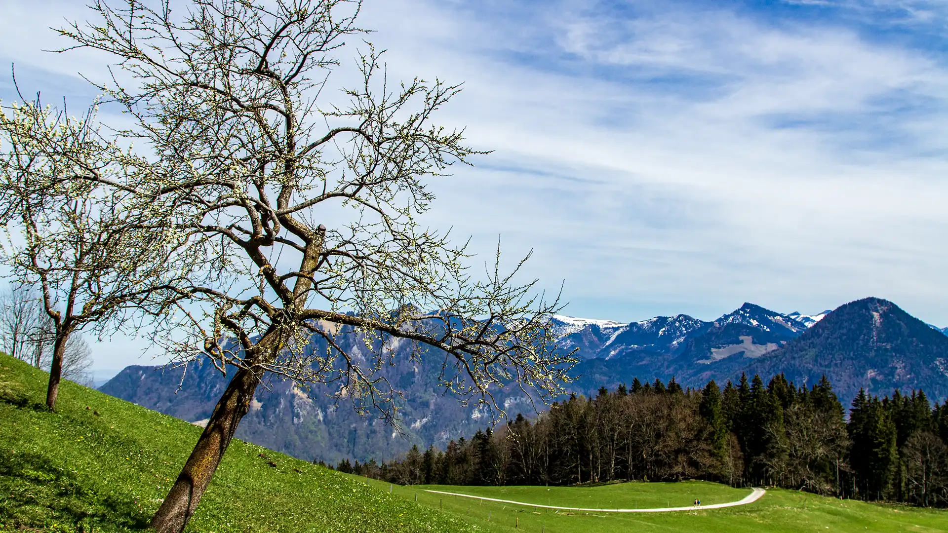 Wanderung Hohe Asten und Petersbergl Flintsbach Inntal