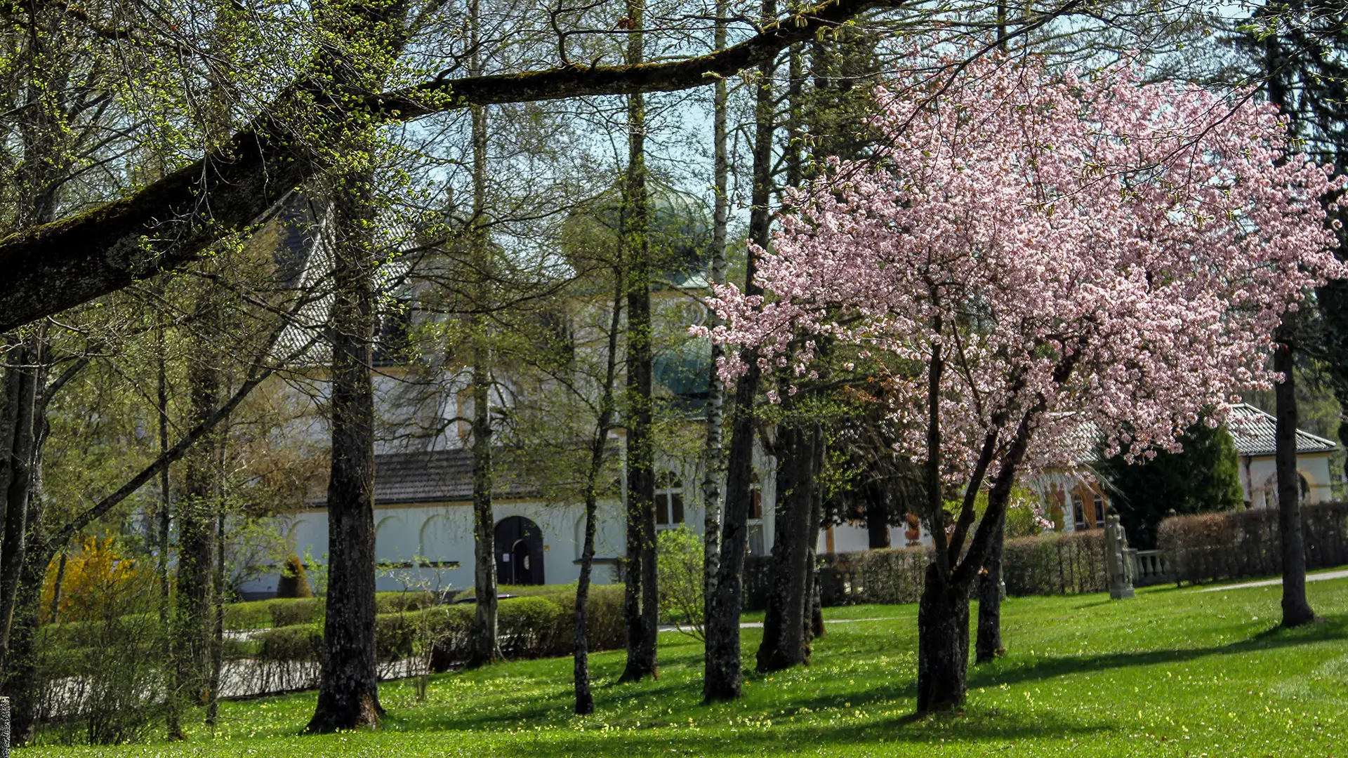 fuenfseen-park-hoehenried-starnbergersee-birgitmwidmann