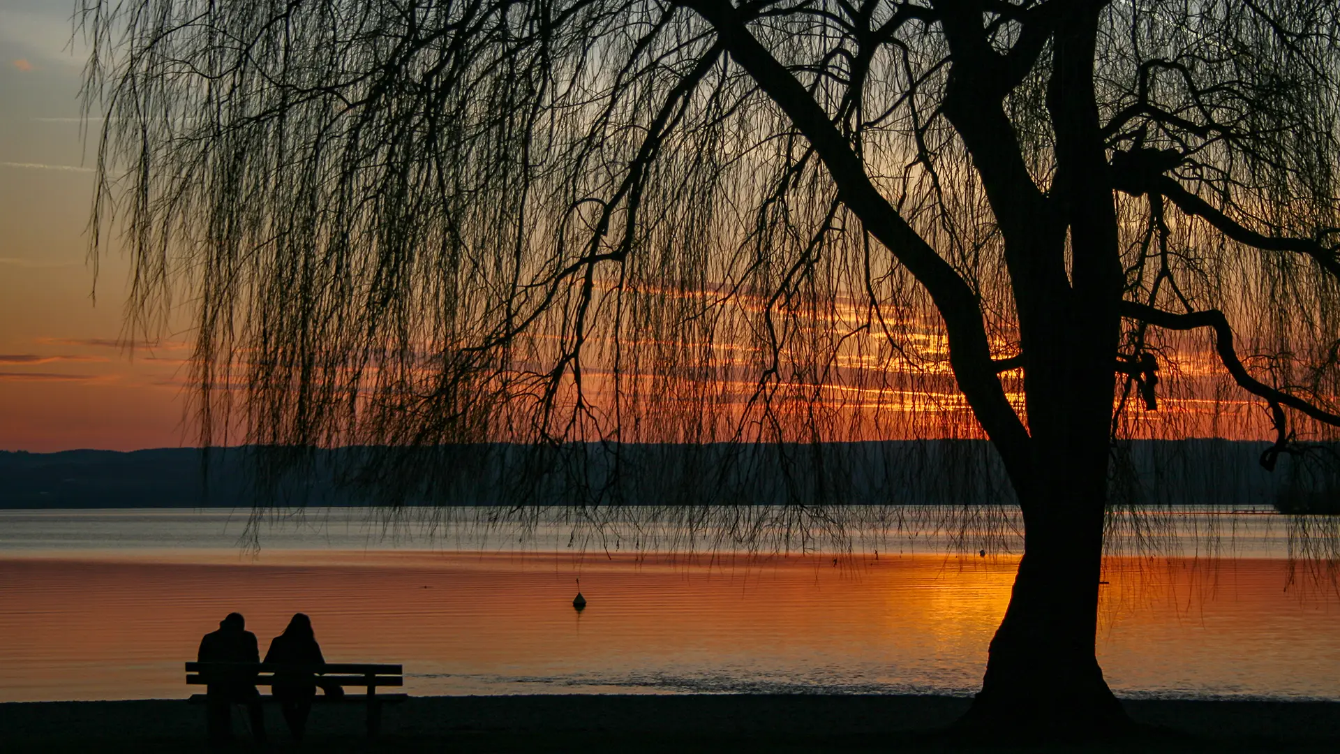 sonnenuntergang am Strand von Herrsching mit Baum und parkbank im Vordergrund.
