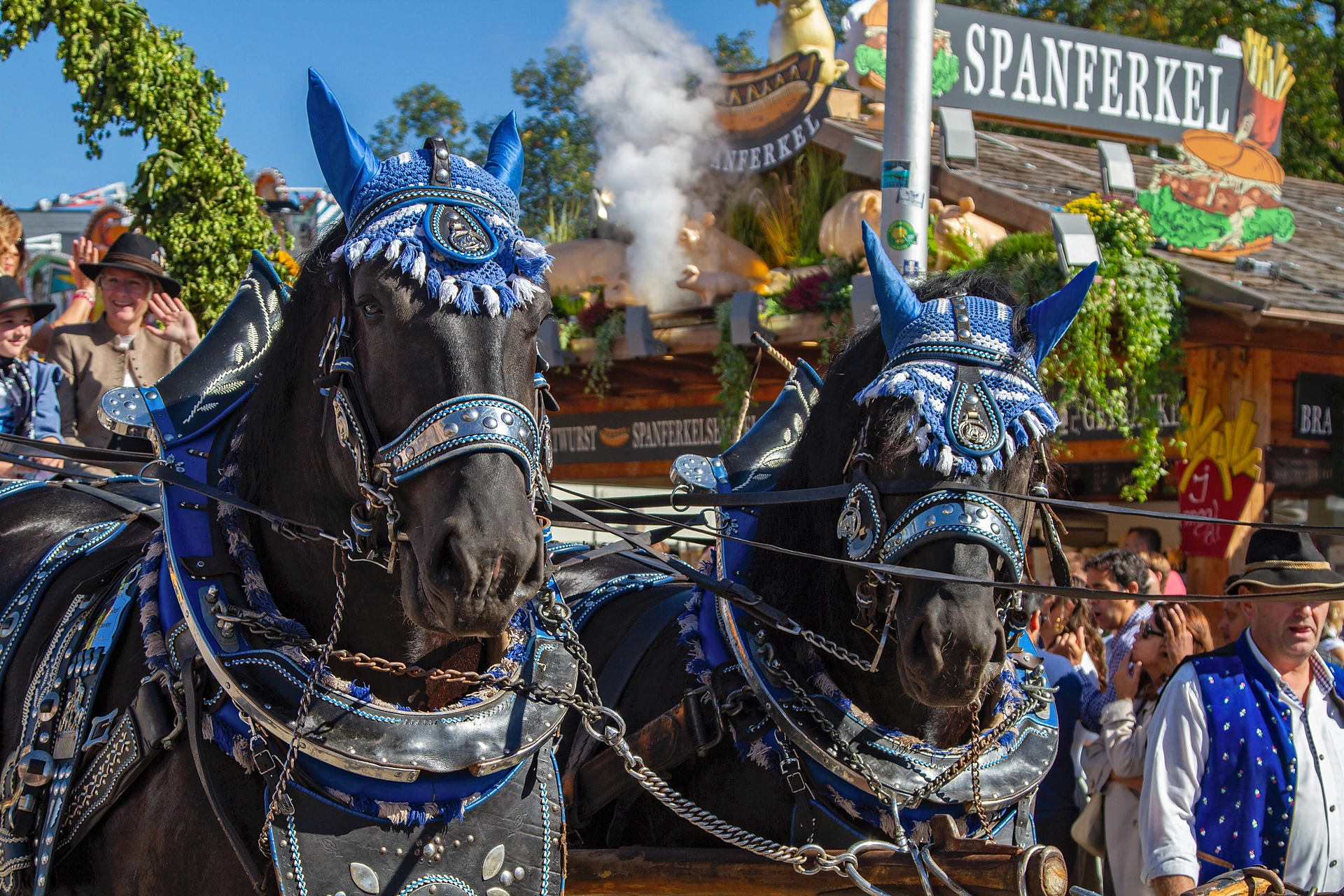 Zwei schwarze Kaltblüter mit blauem Schmuck und blau-silbernem Geschirr ziehen einen Brauereiwagen an einem Spanferkel-Stand vorbei, Einzug der Festwirte auf dem Oktoberfest München