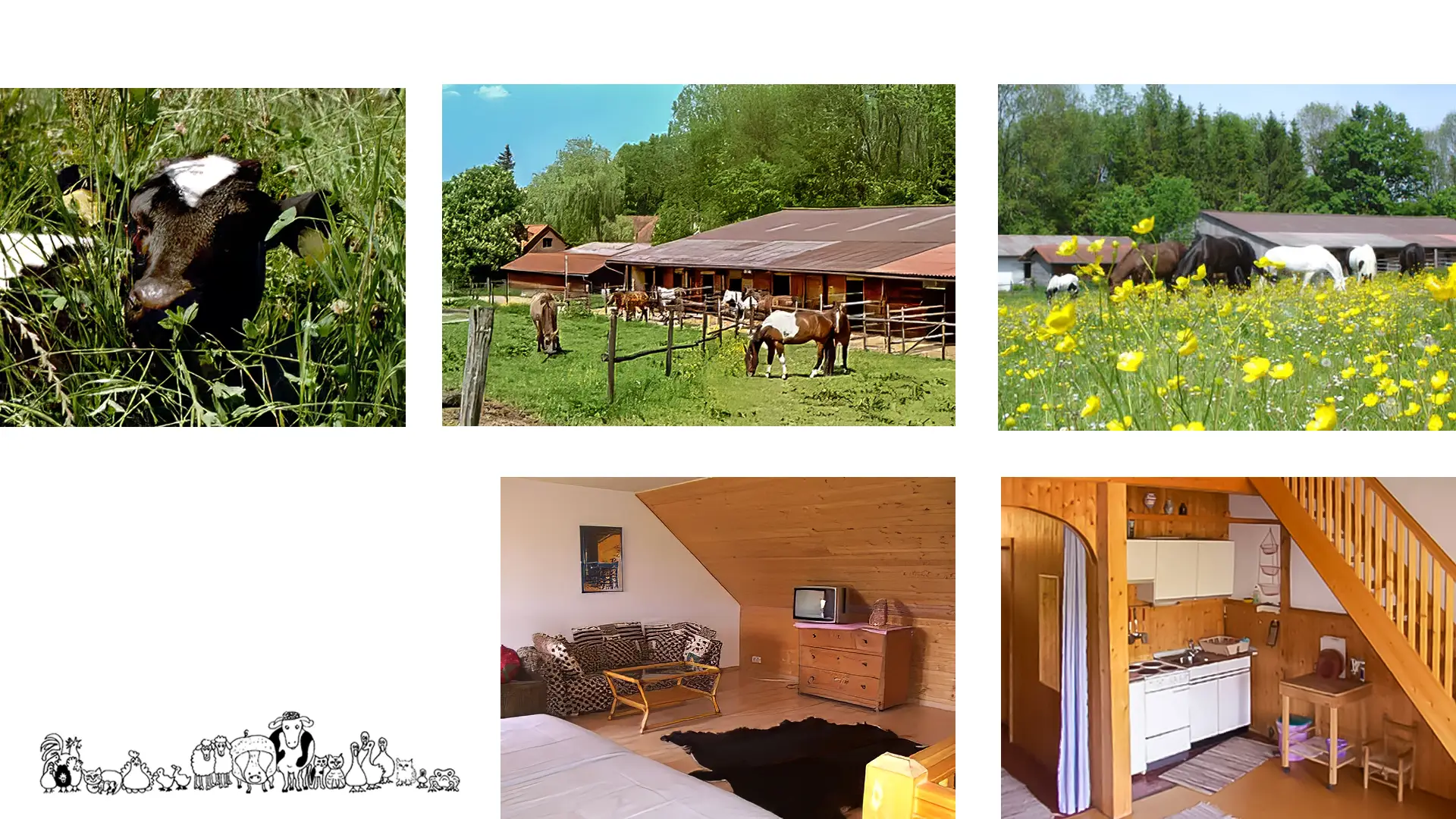 Klokerhof Hechenwang - Fotosammlung Kalb in der Wiese, Pferdekoppeln im Sommer, Pferde auf der Blumenwiese, Ferienwohnung Ansicht Wohnzimmer und Küche, Grafik der Tiere
