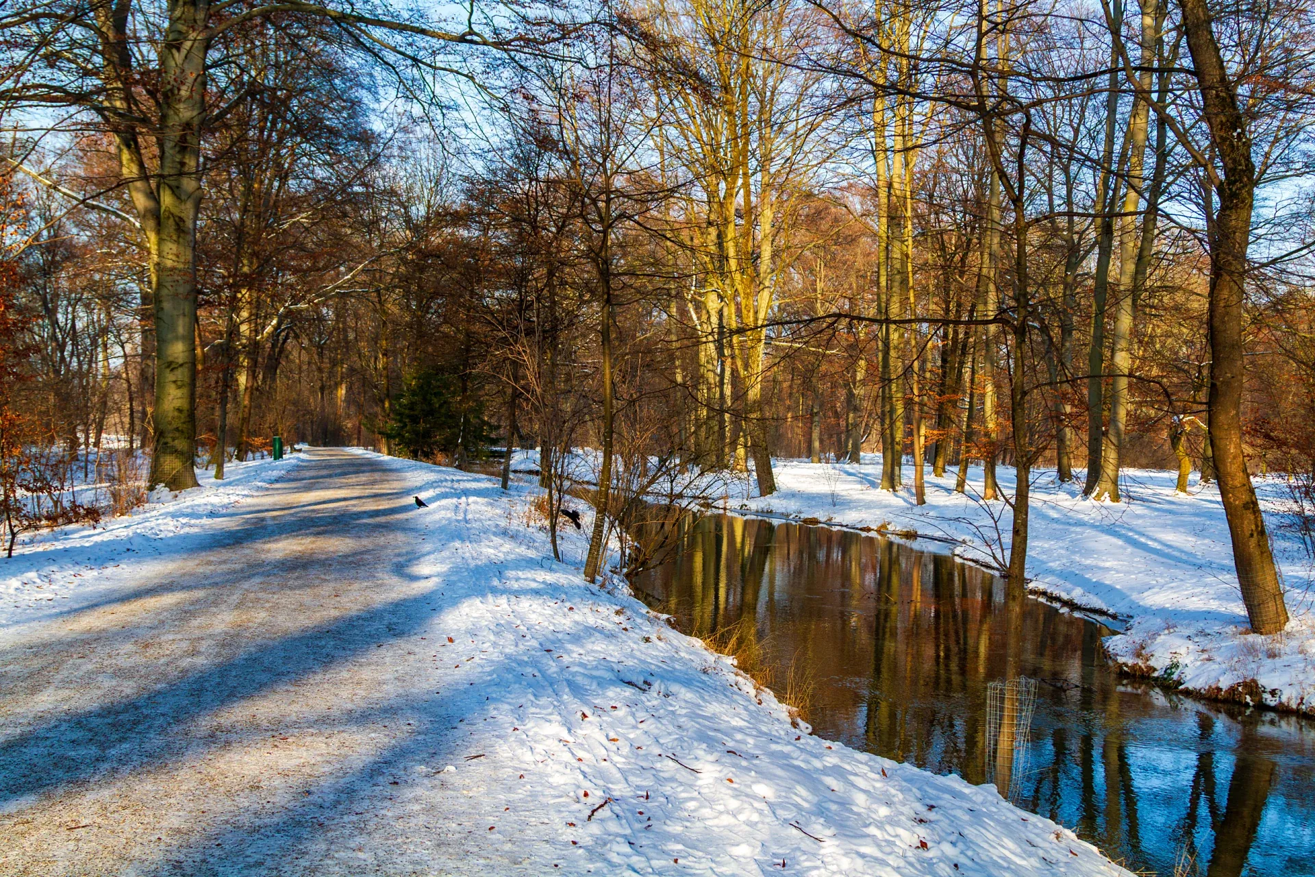 fuenfseen-rauhnaechte-englischer-garten-winter-c-bwidmann Winterweg im englischen Garten daneben der Isarkanal mit Spiegelung der Bäume im Wasser.