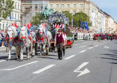 Ein Gespann aus Schimmeln mit rotem Zaumzeug zieht einen blumengeschmückten Brauereiwagen die Ludwigstraße hinauf, Trachten- und Schützenzug München
