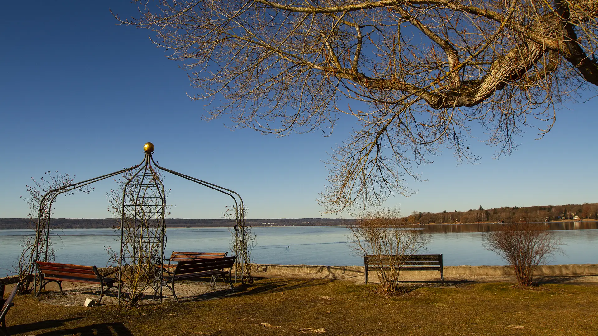 Rosenpavillon im Kurpark von Herrsching am Ammersee, kahle Bäume im Winter,.