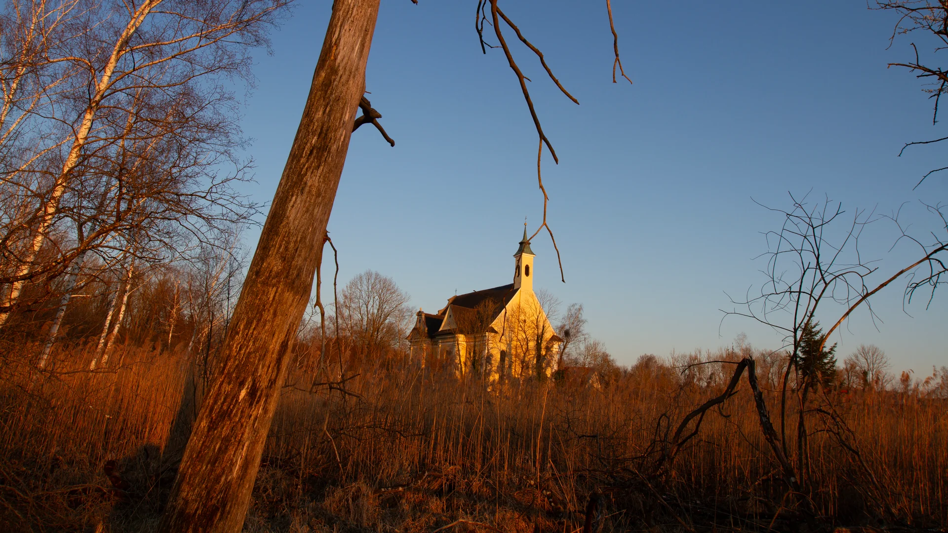 Wallfahrtskirche St. Rasso in Grafrath im Abendlicht über dem Ampermoos · Beschriftung: Die Wallfahrtskirche St. Rasso in Grafrath im Abendlicht, gesehen über das Ampermoos. Über dem Grab des heiligen Rasso entstand von 1688 bis 1695 einer der drei großen Wallfahrtsorte Bayerns. © Birgit M. Widmann.